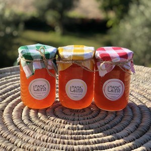 jam-apricot-watani-lebanon-buy-sell