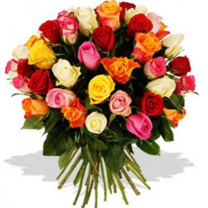 fleurs-de-la-sagesse-mixed-colors-roses-2-watani-lebanon-buy-sell