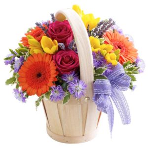 fleurs-de-la-sagesse-sunny-flowers-watani-lebanon-buy-sell