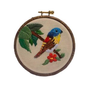 Amoula-Pet Bird-Lebanon-buy-sell-online-shop