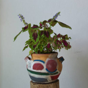 green house-Coleus-Face-clay-pottery-vase-watani-buy-online-lebanon