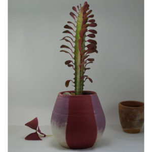 green-house-red-cacti-clay-pottery-vase-watani-buy-online-lebanon